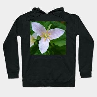 Easter Lily or Trillium Hoodie